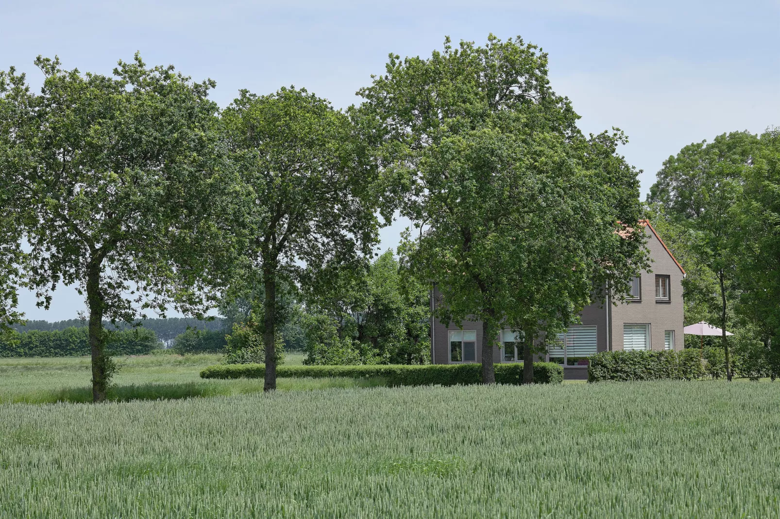 Klein Hof ter Zand-Exterior summer