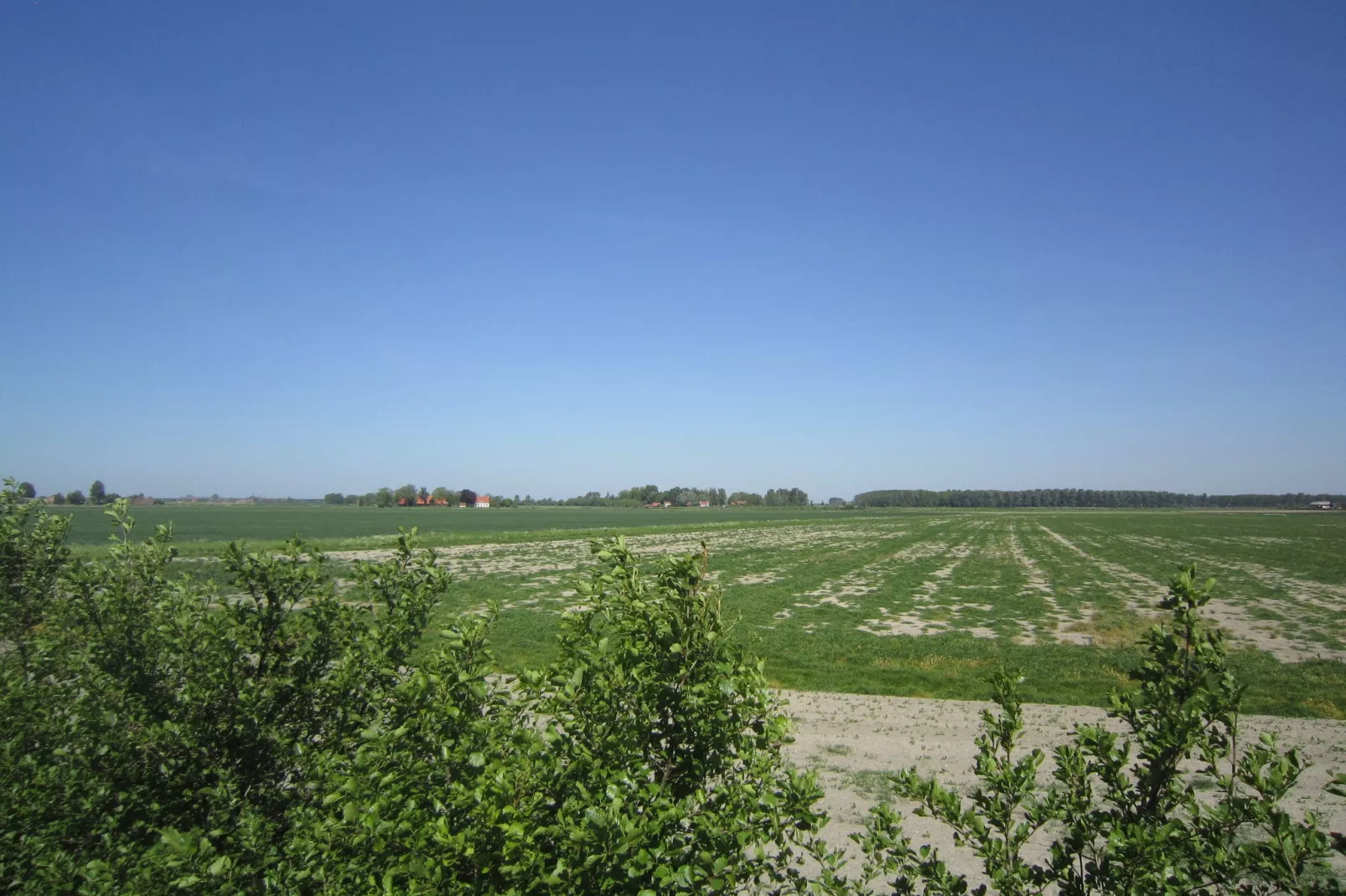 Klein Hof ter Zand-View summer