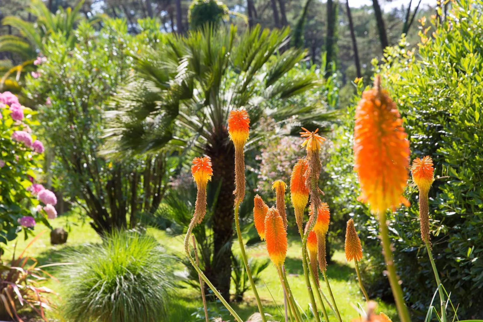 Villa 3 stars - Biarritz-Gardens summer