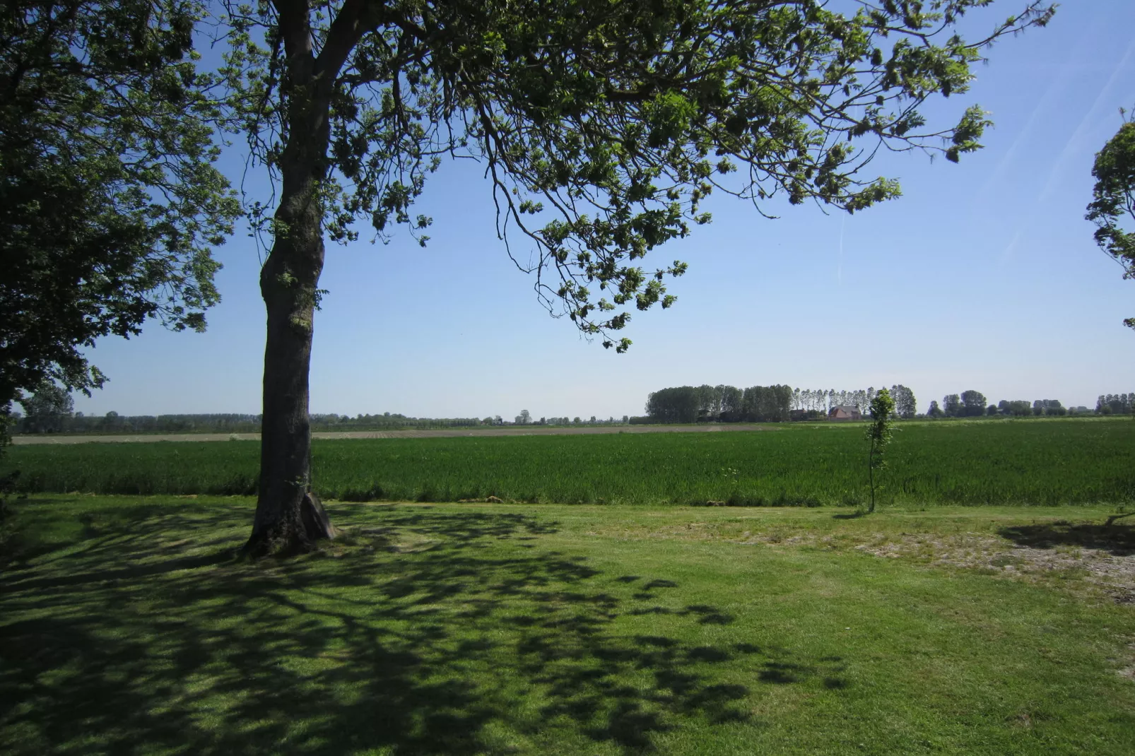 Klein Hof ter Zand-Gardens summer