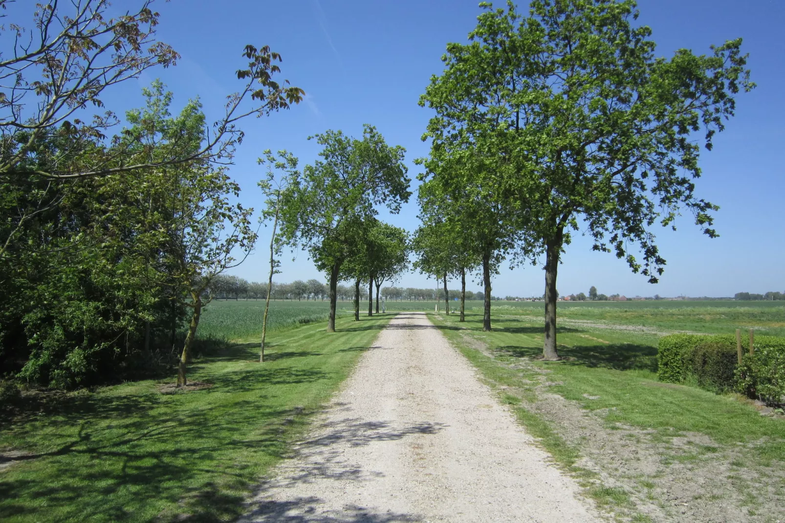 Klein Hof ter Zand-Areas summer 1km