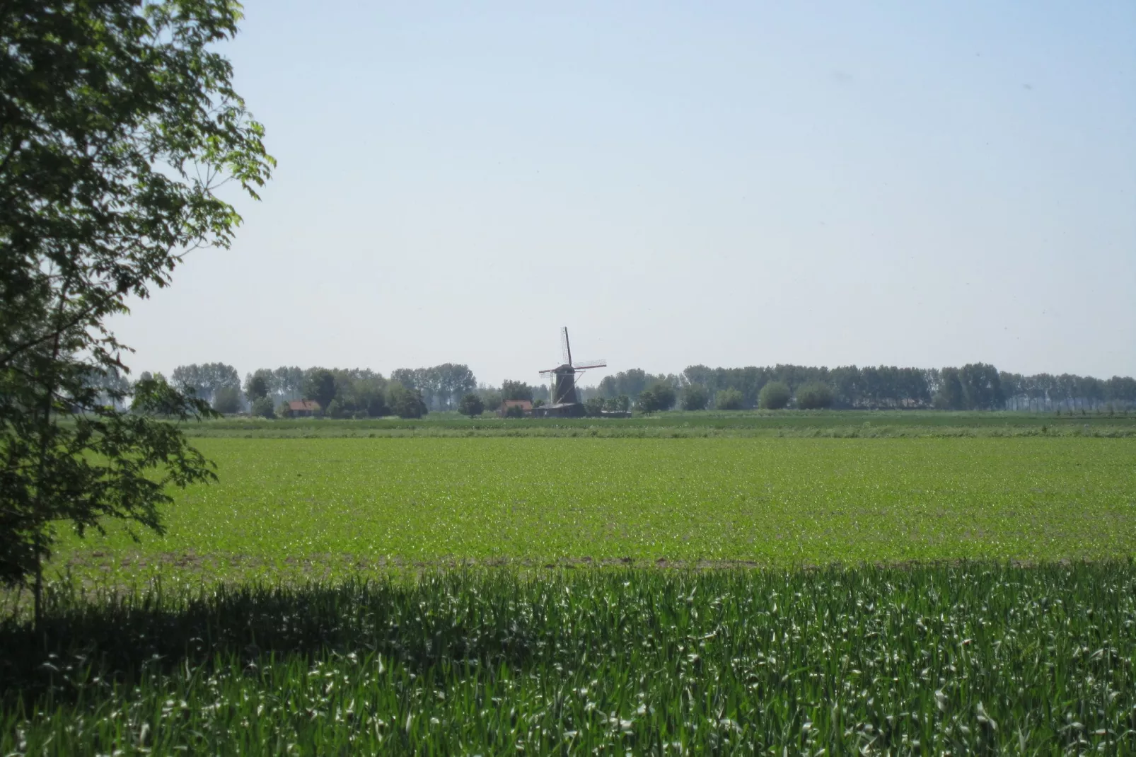 Klein Hof ter Zand-Areas summer 1km