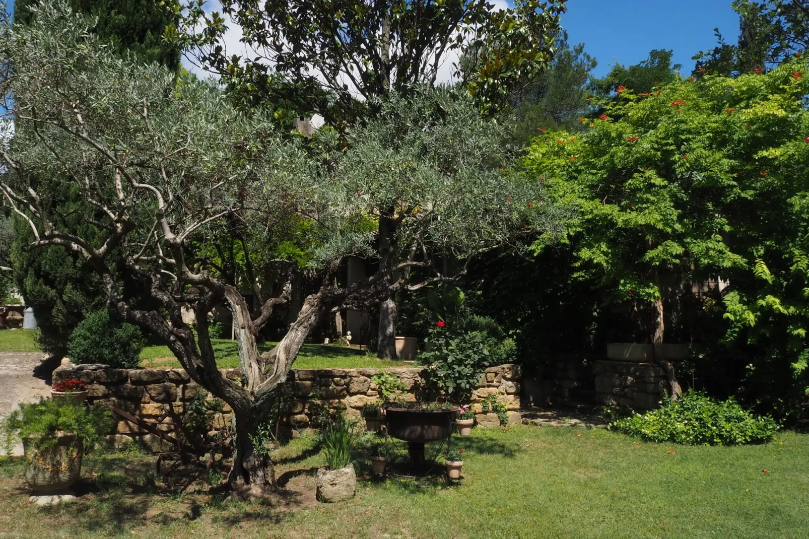 Ferienhaus in Bédarrides-Gardens summer