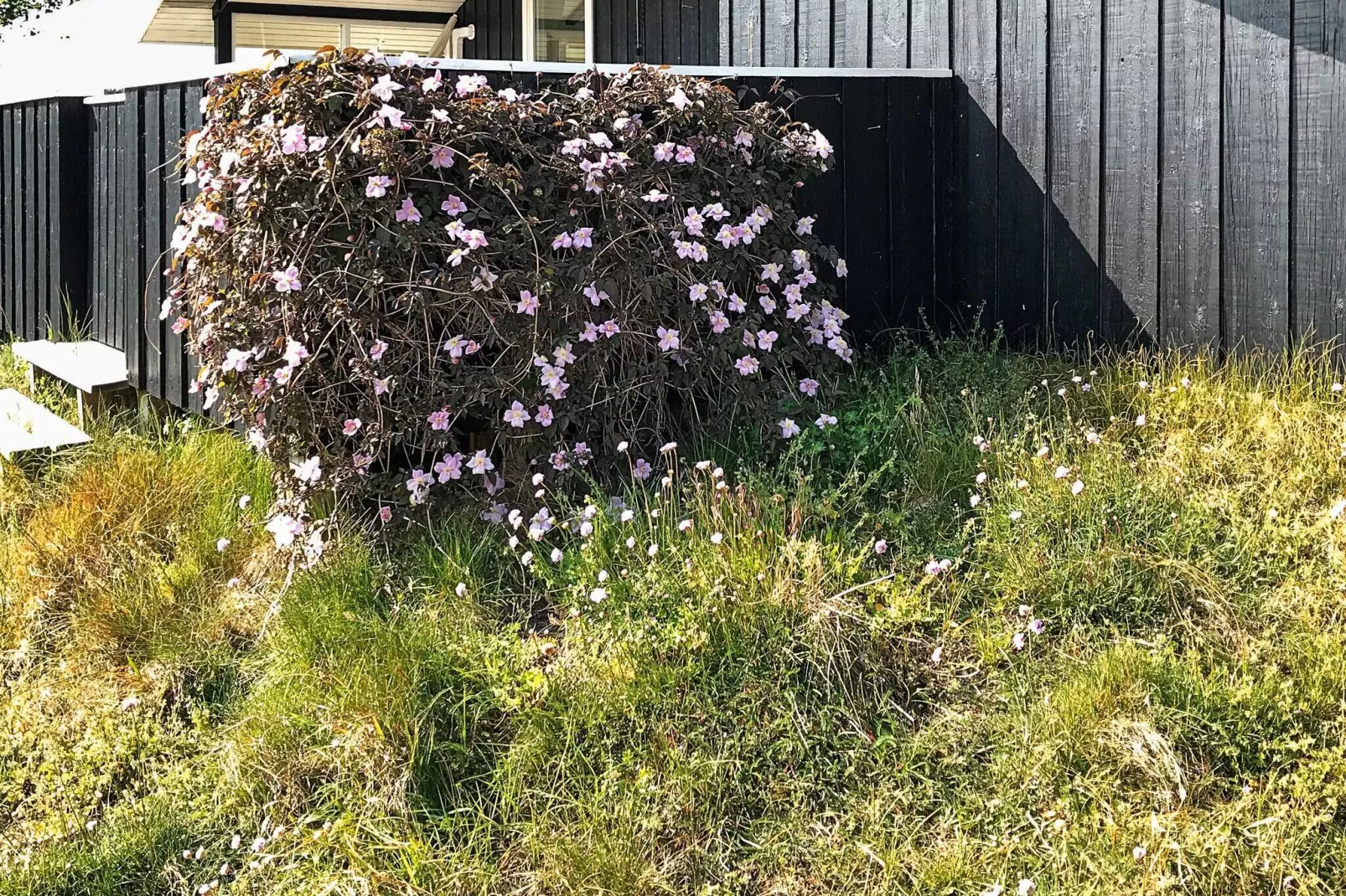 5 Personen Ferienhaus in Blåvand-By Traum-Im Freien