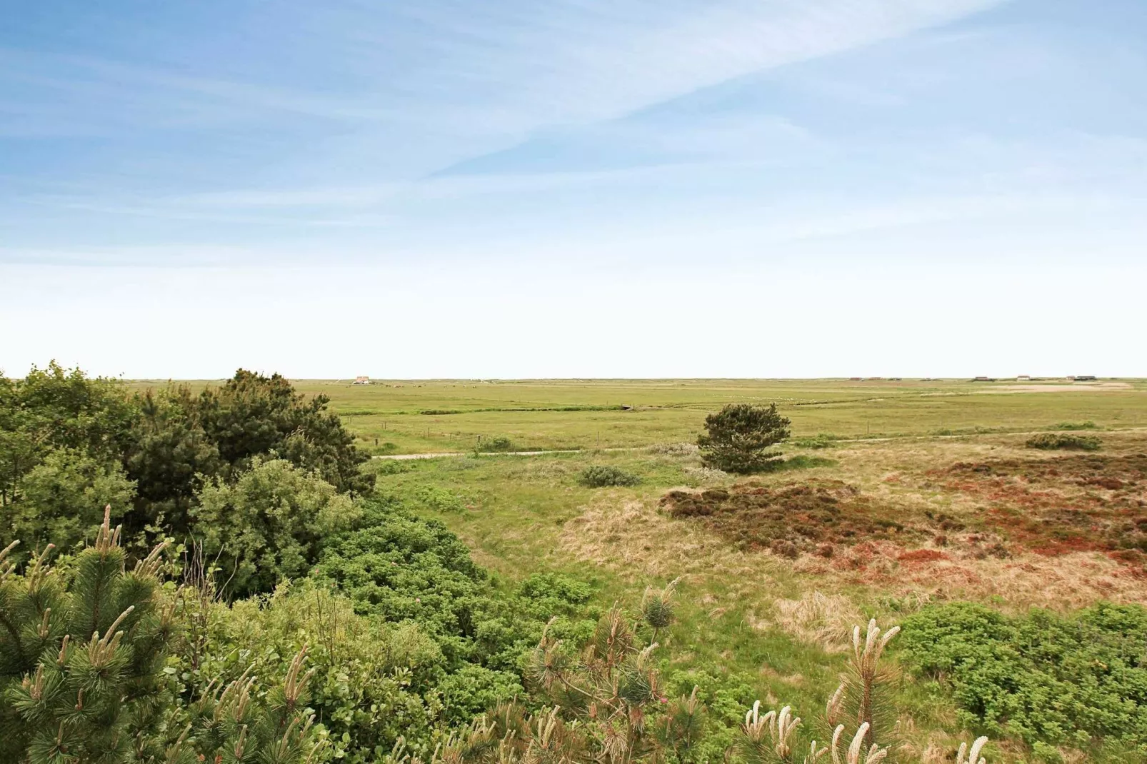 5 Personen Ferienhaus in Blåvand-By Traum-Aussicht