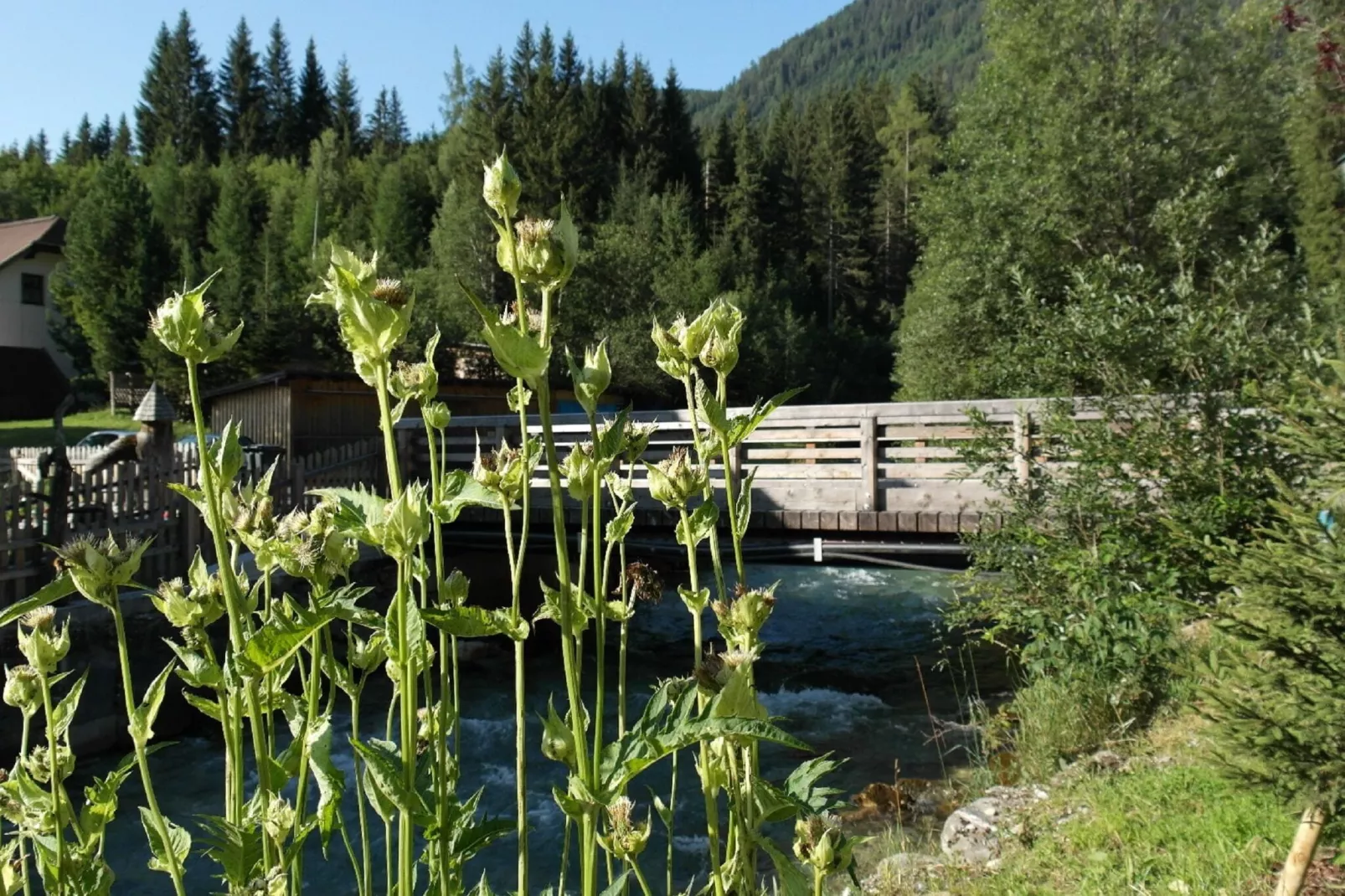 Chalet Hammerweg-Areas summer 1km