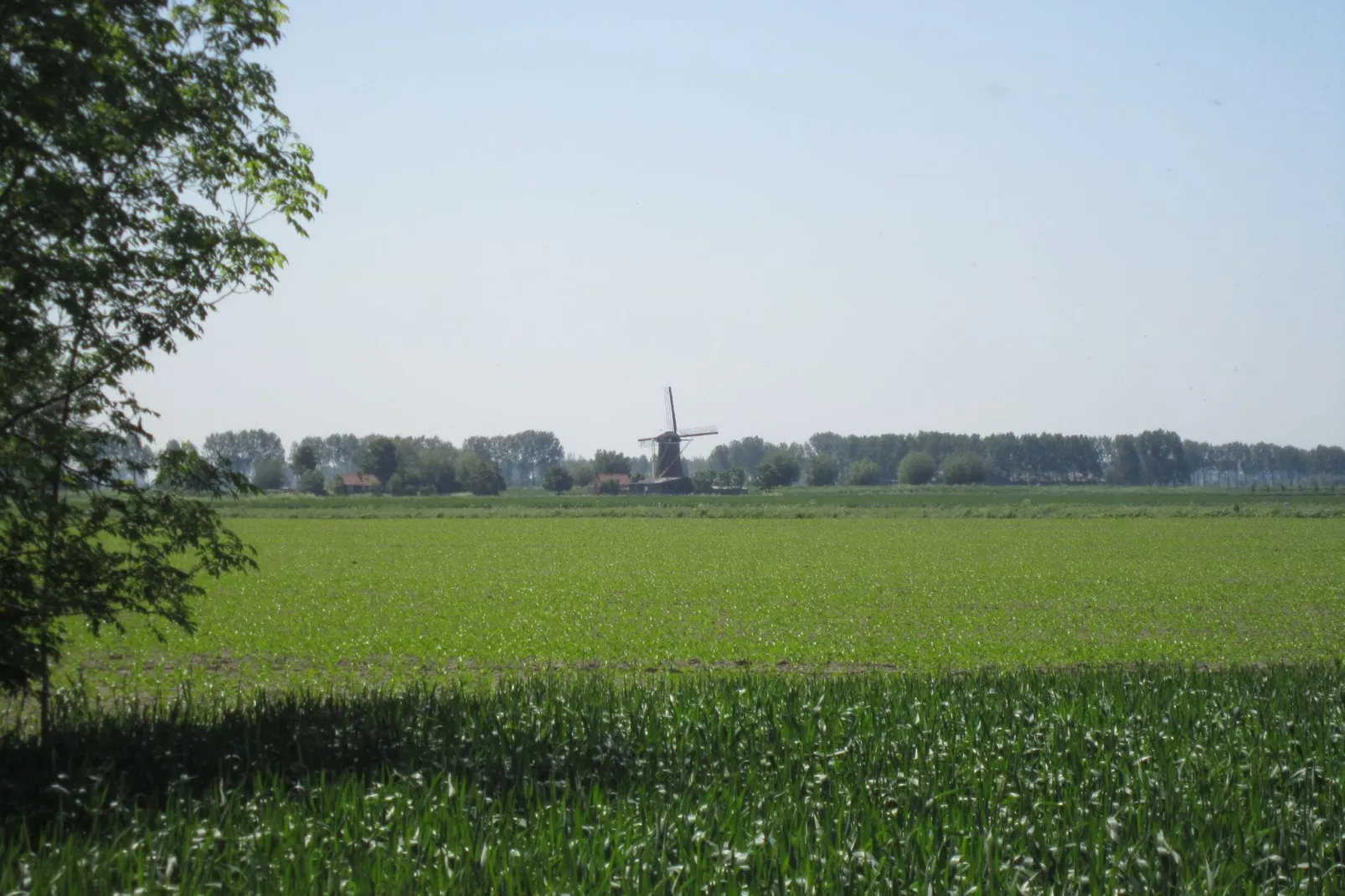 Groot Hof ter Zand-Areas summer 1km