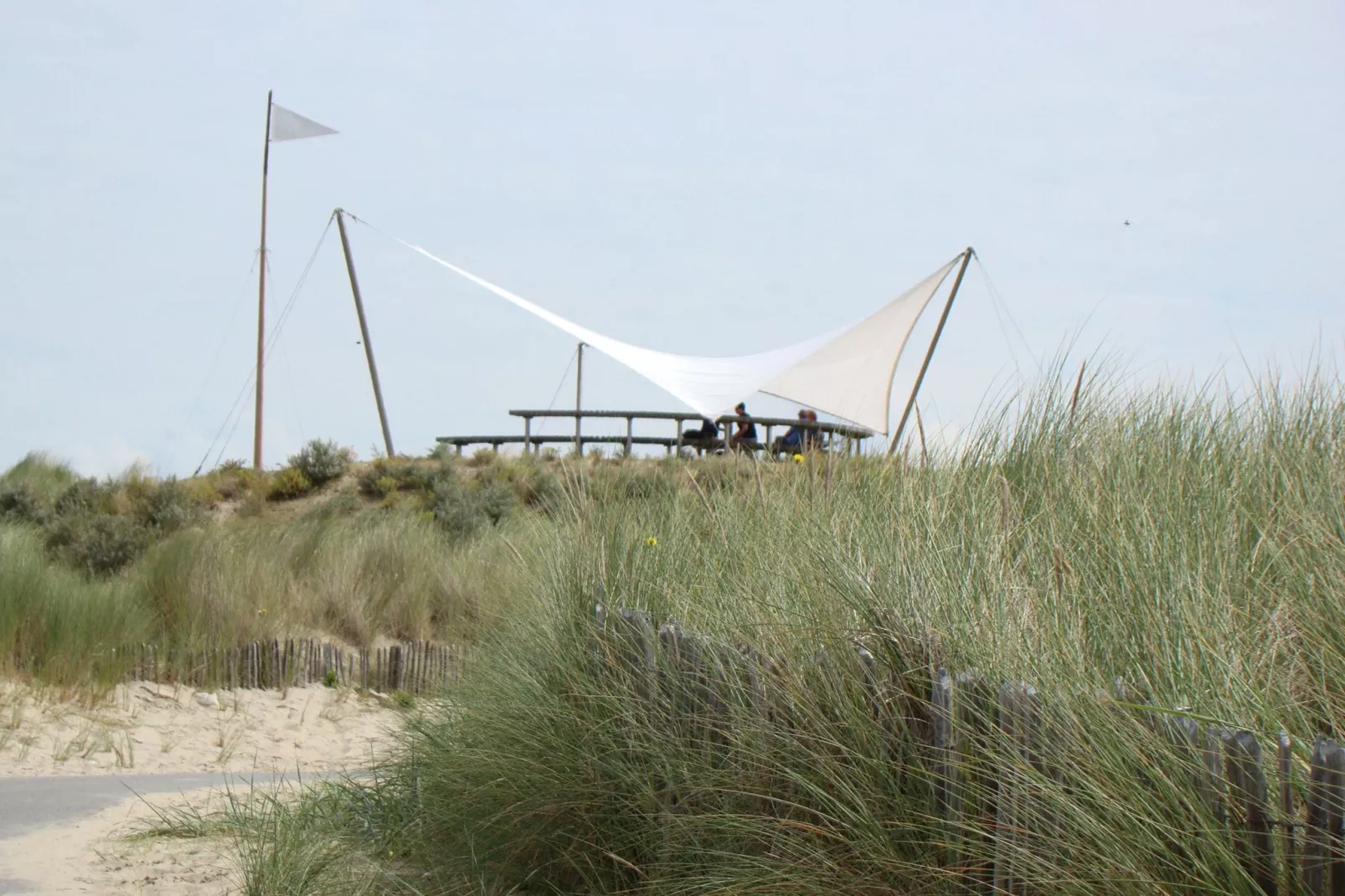 Groot Hof ter Zand-Areas summer 20km