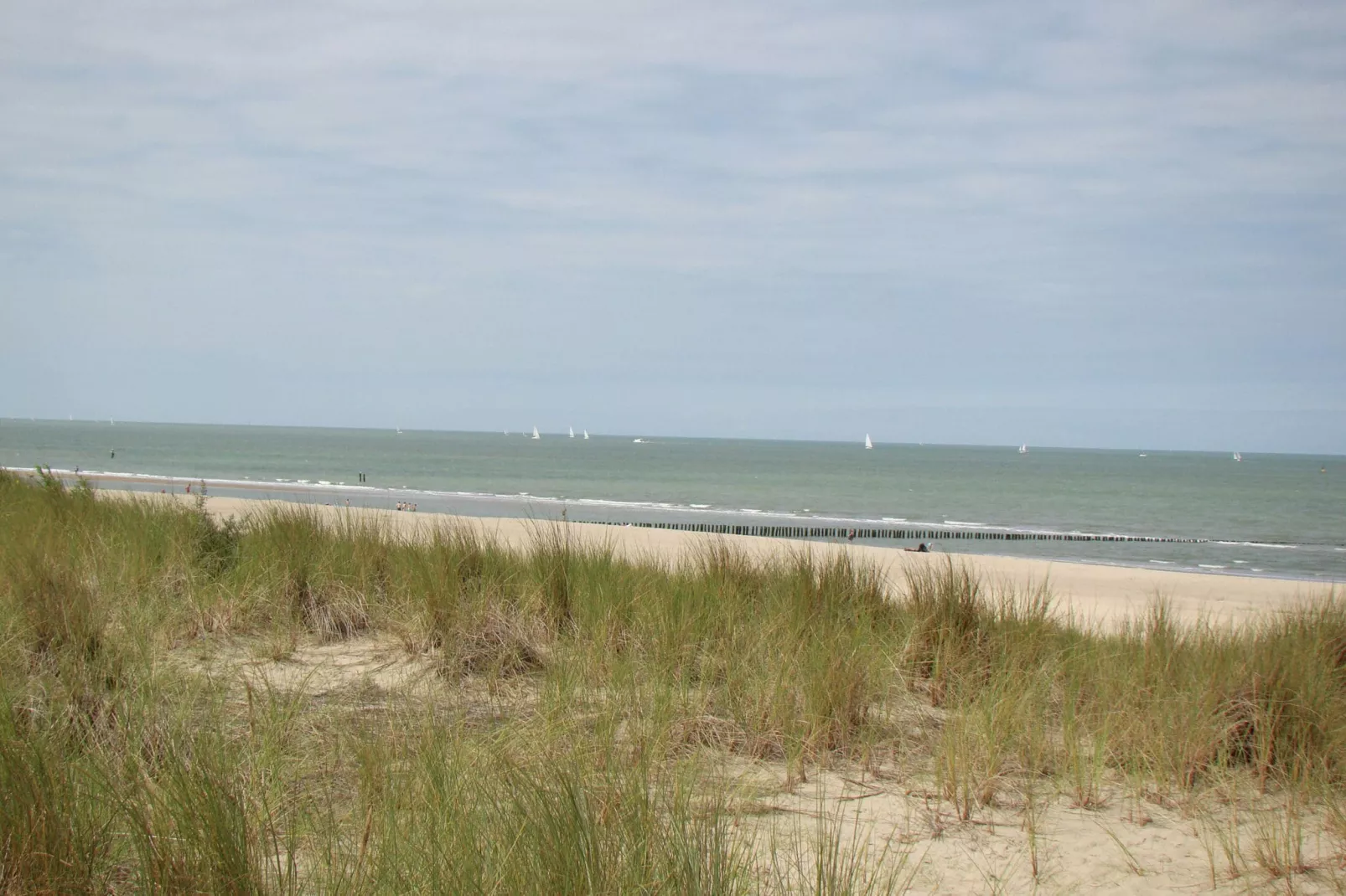 Groot Hof ter Zand-Areas summer 20km