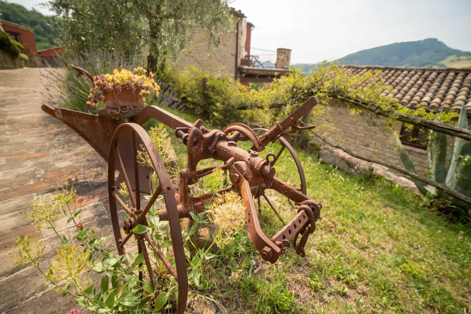 Santa Caterina-Jardin d'été