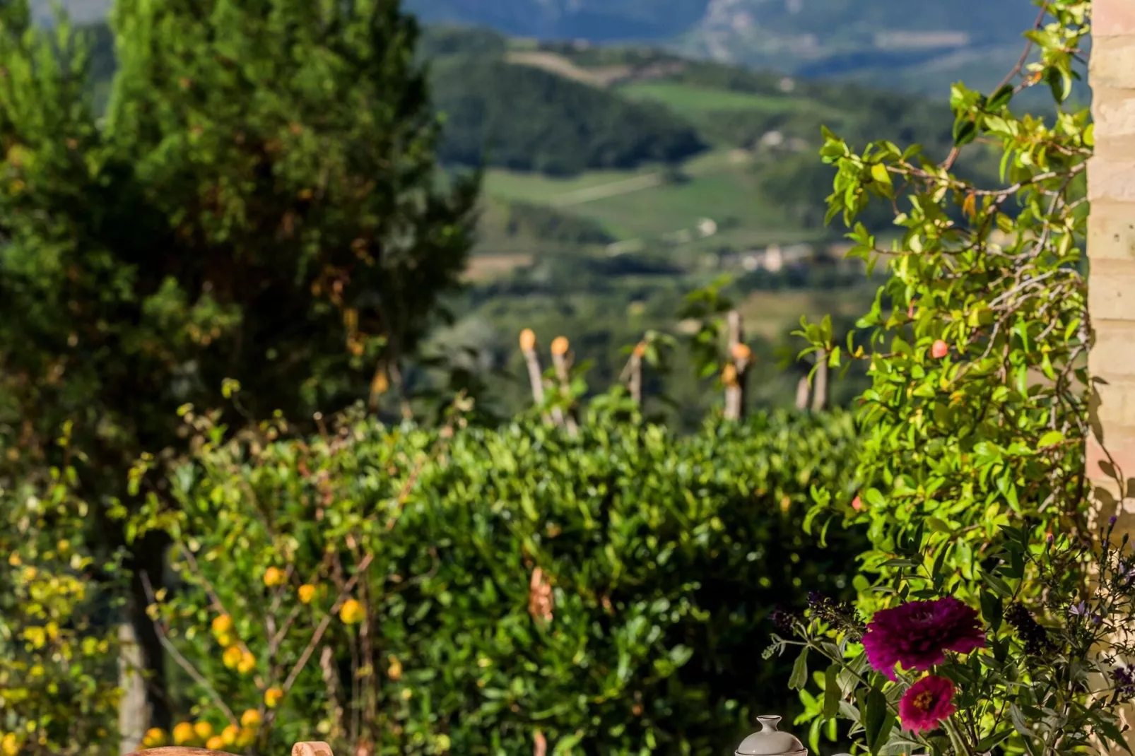 Il Vettore nei monti Sibillini-Gärten Sommer
