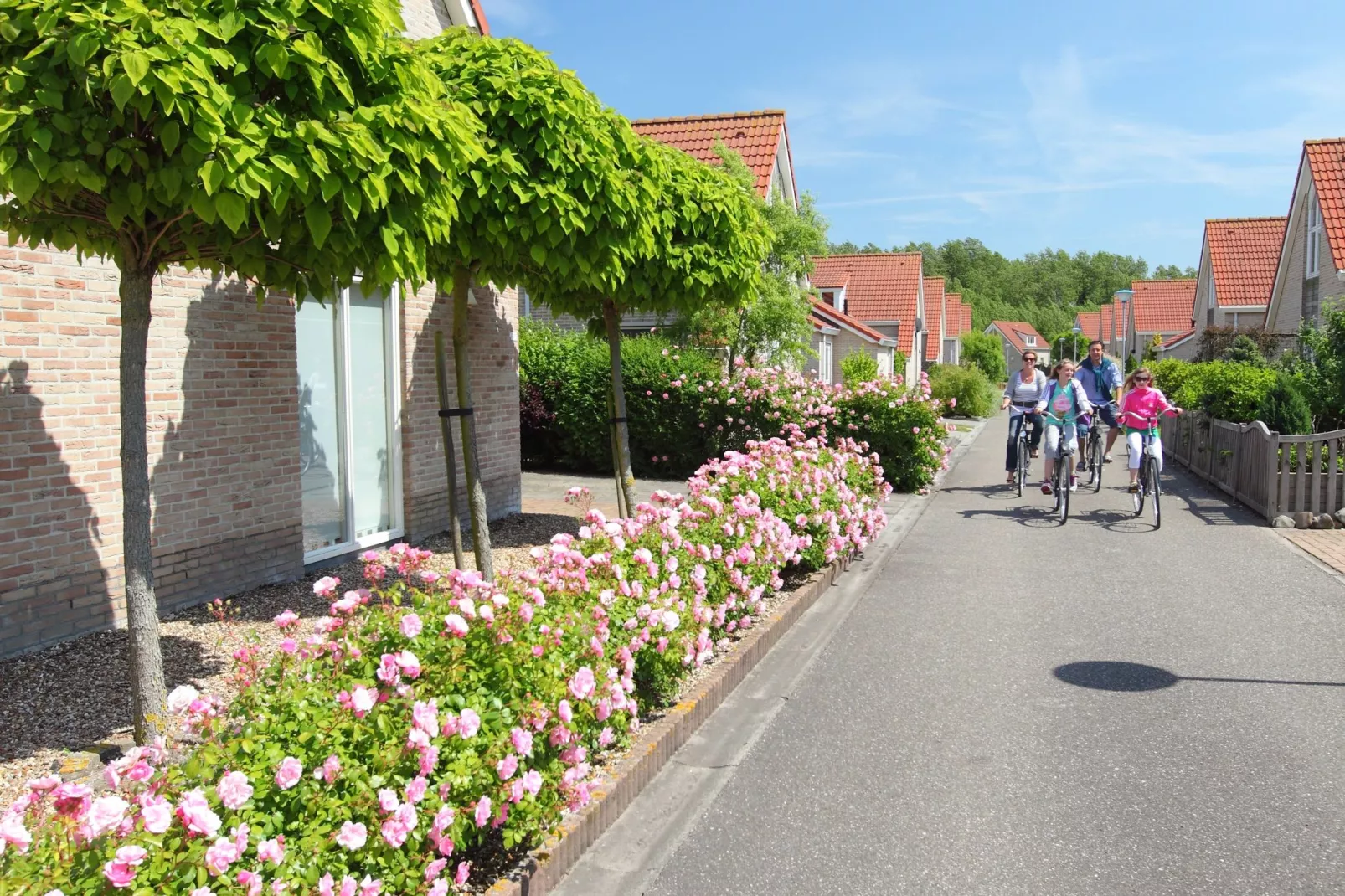 Vakantiepark Zeebad 11-Areas summer 1km