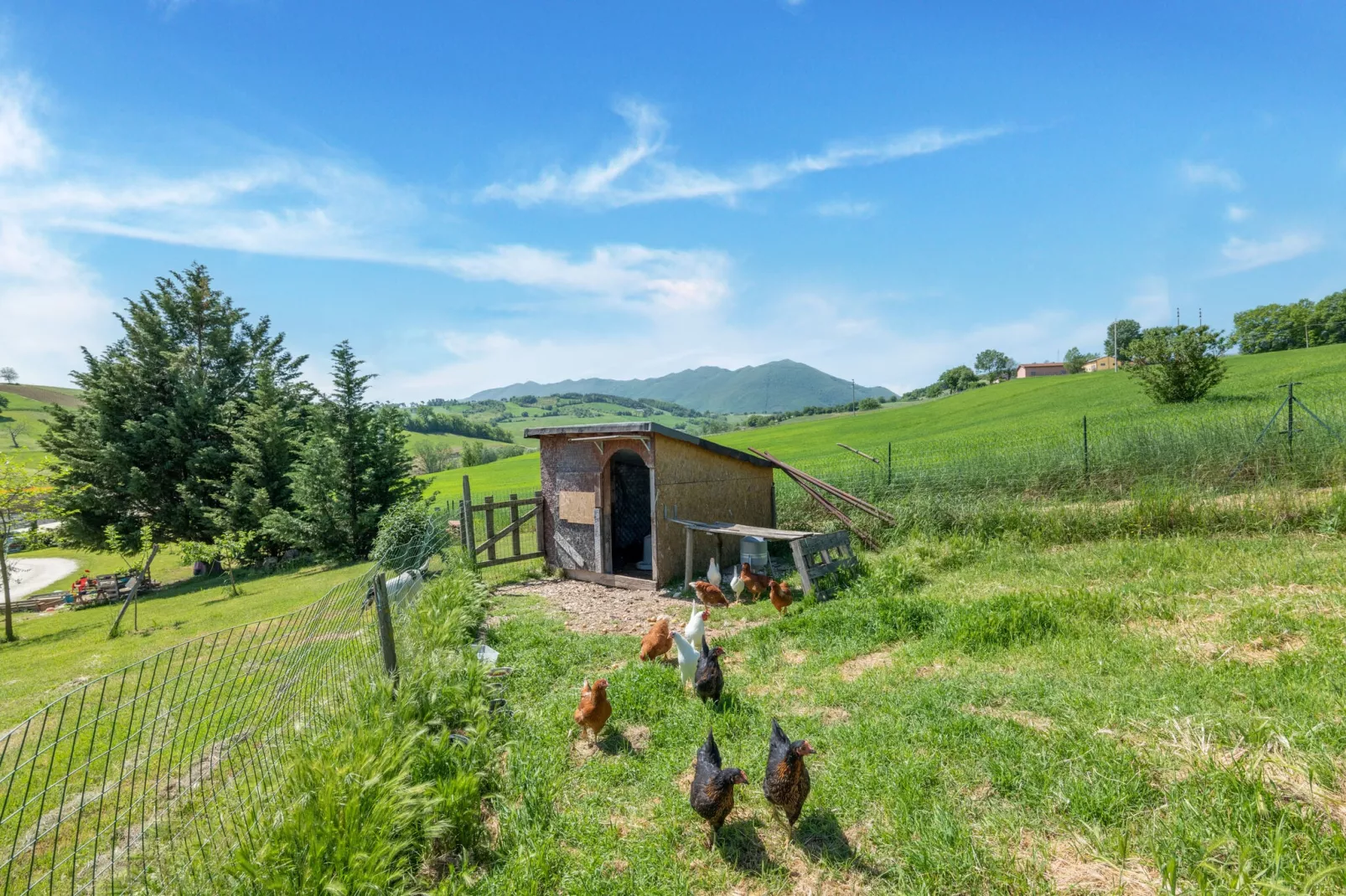 La Casa del Verdicchio-Gardens summer