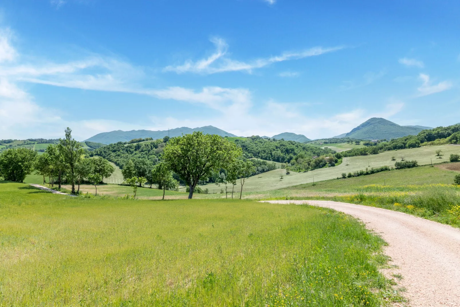 La Casa del Verdicchio-Areas summer 5km