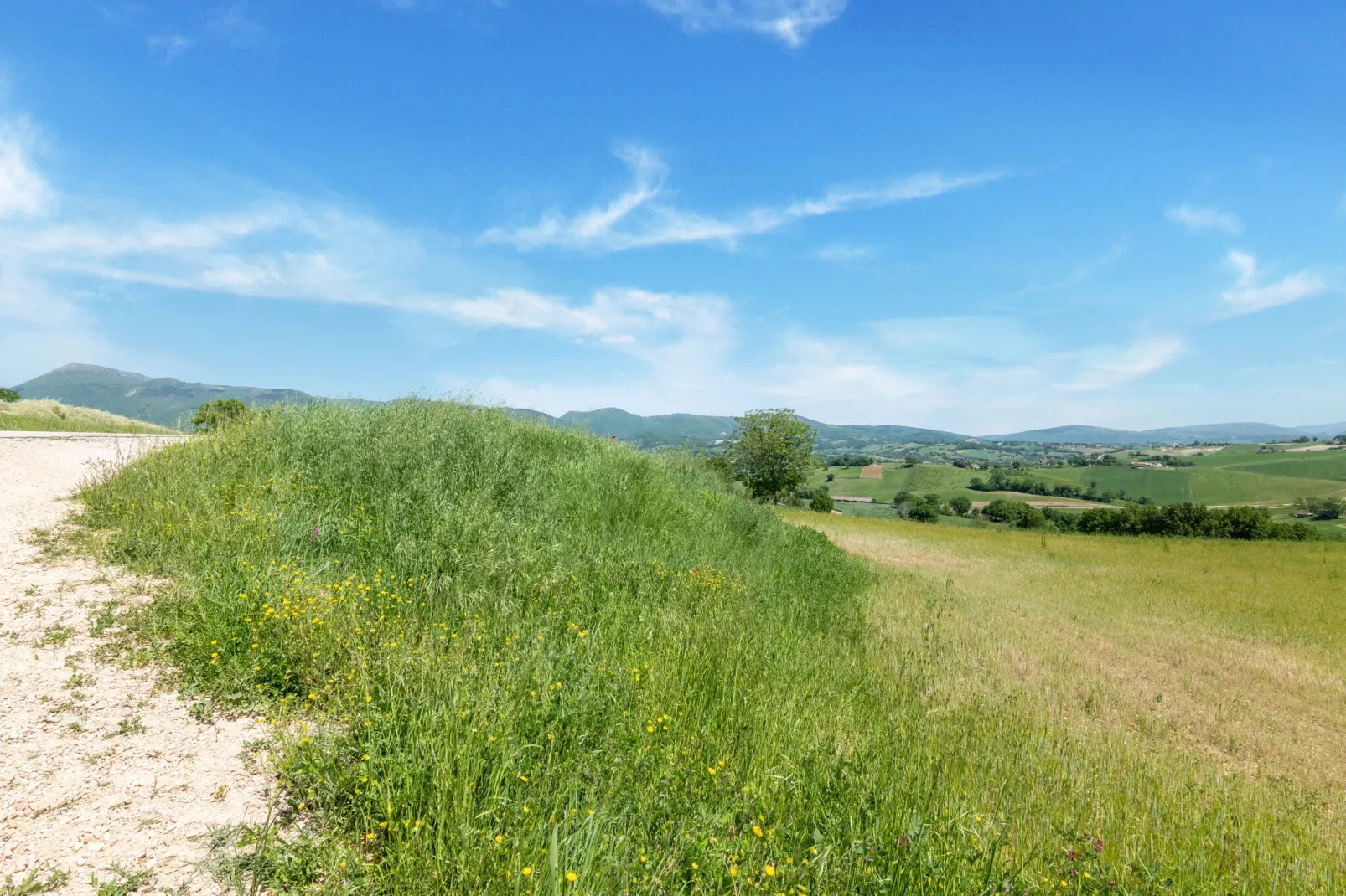 La Casa del Verdicchio-Areas summer 5km