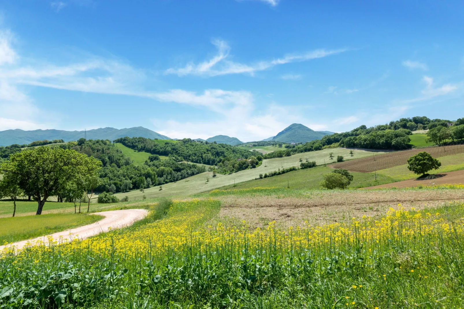 La Casa del Verdicchio-Areas summer 5km