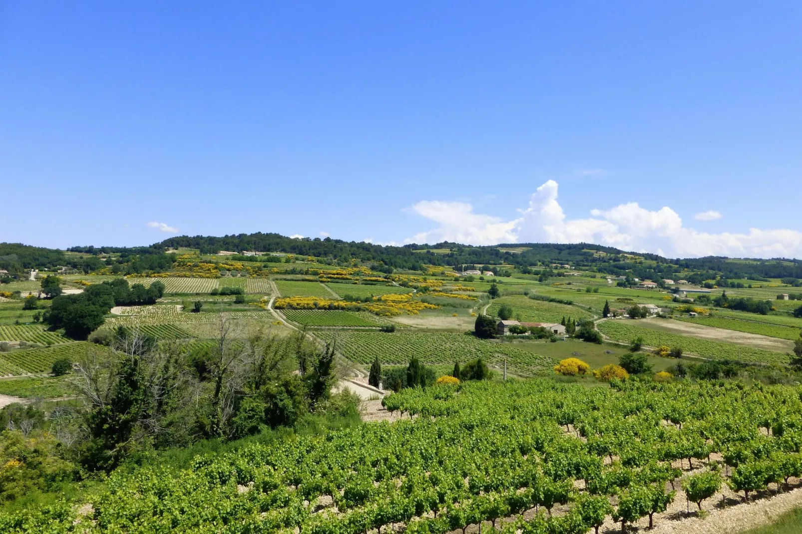 Ferienhaus in Roaix-Gebiete Sommer 20 km