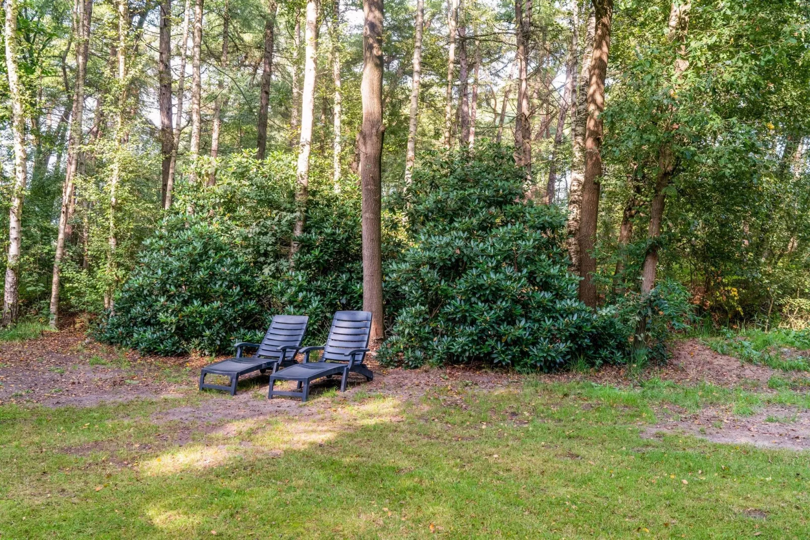 Het Boshuisje-Gardens summer