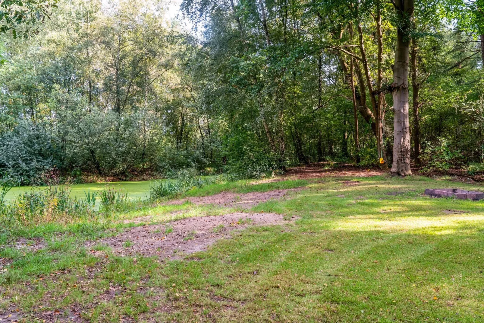 Het Boshuisje-View summer