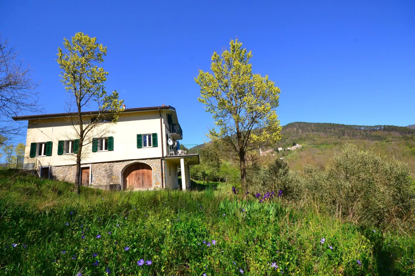 Crocetta Uno-Exterior summer