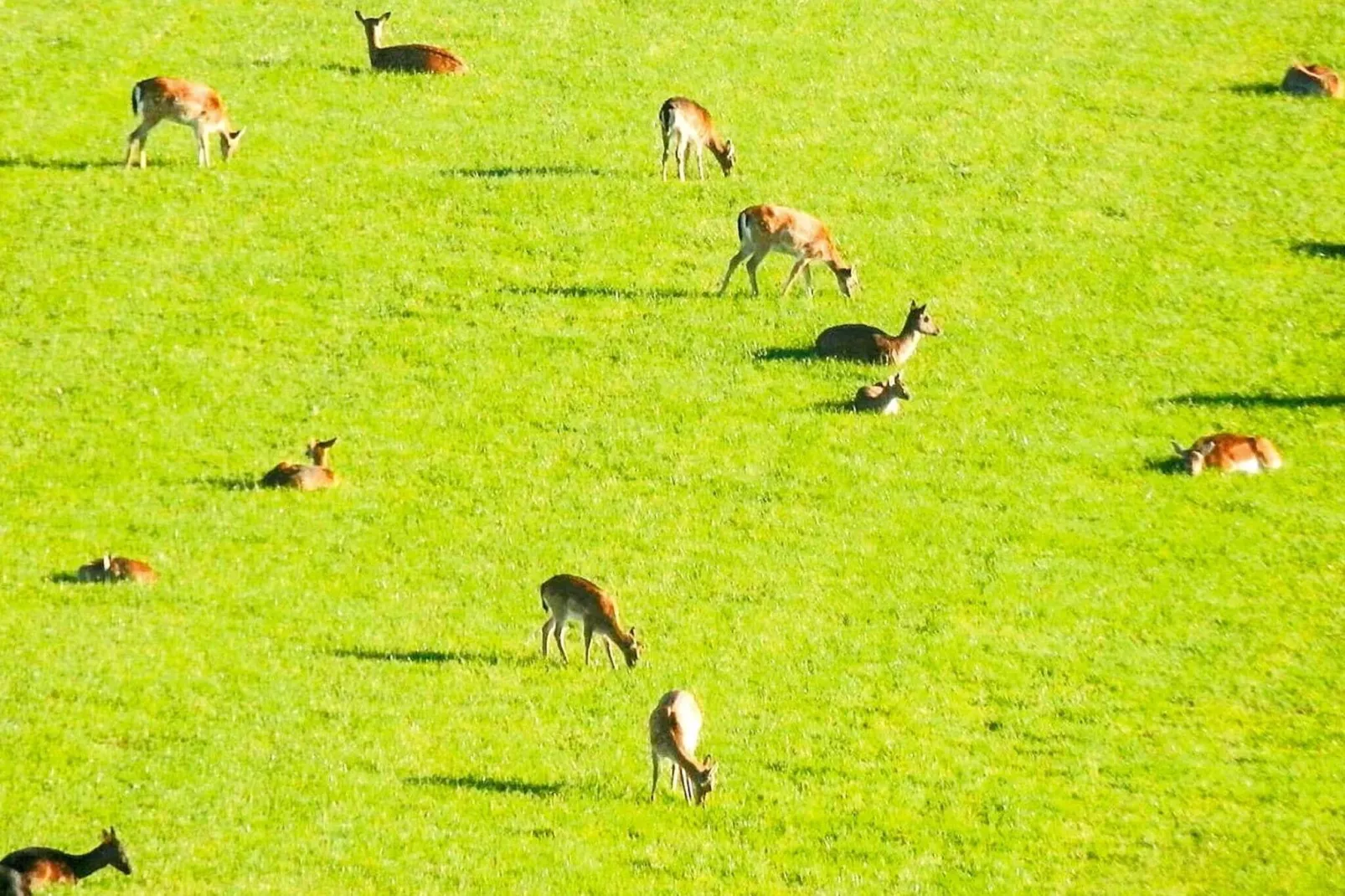 Maison de vacances pour 4 a VEBERÖD-By Traum-Vue