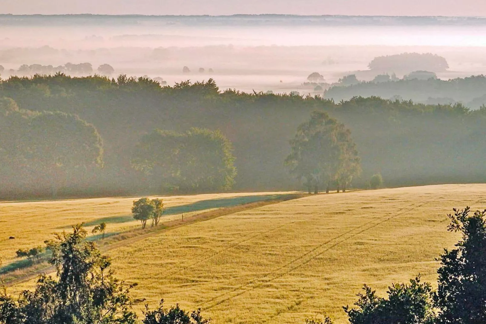 Maison de vacances pour 4 a VEBERÖD-By Traum-Vue