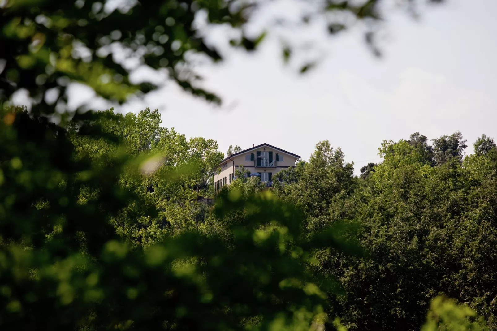 Crocetta Uno-View summer
