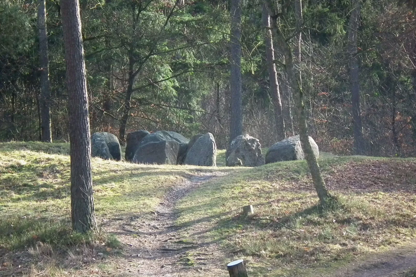 Zonnehoek-Gebiete Sommer 1 km