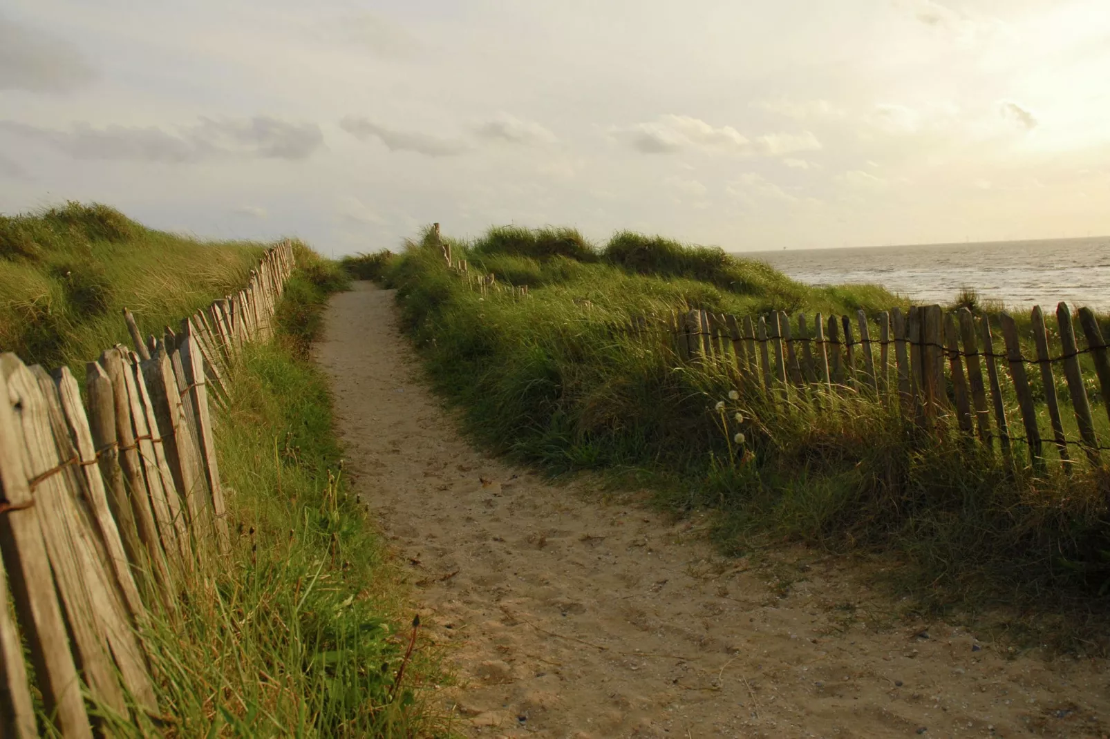 De ZeeParel Sea Life-Areas summer 1km