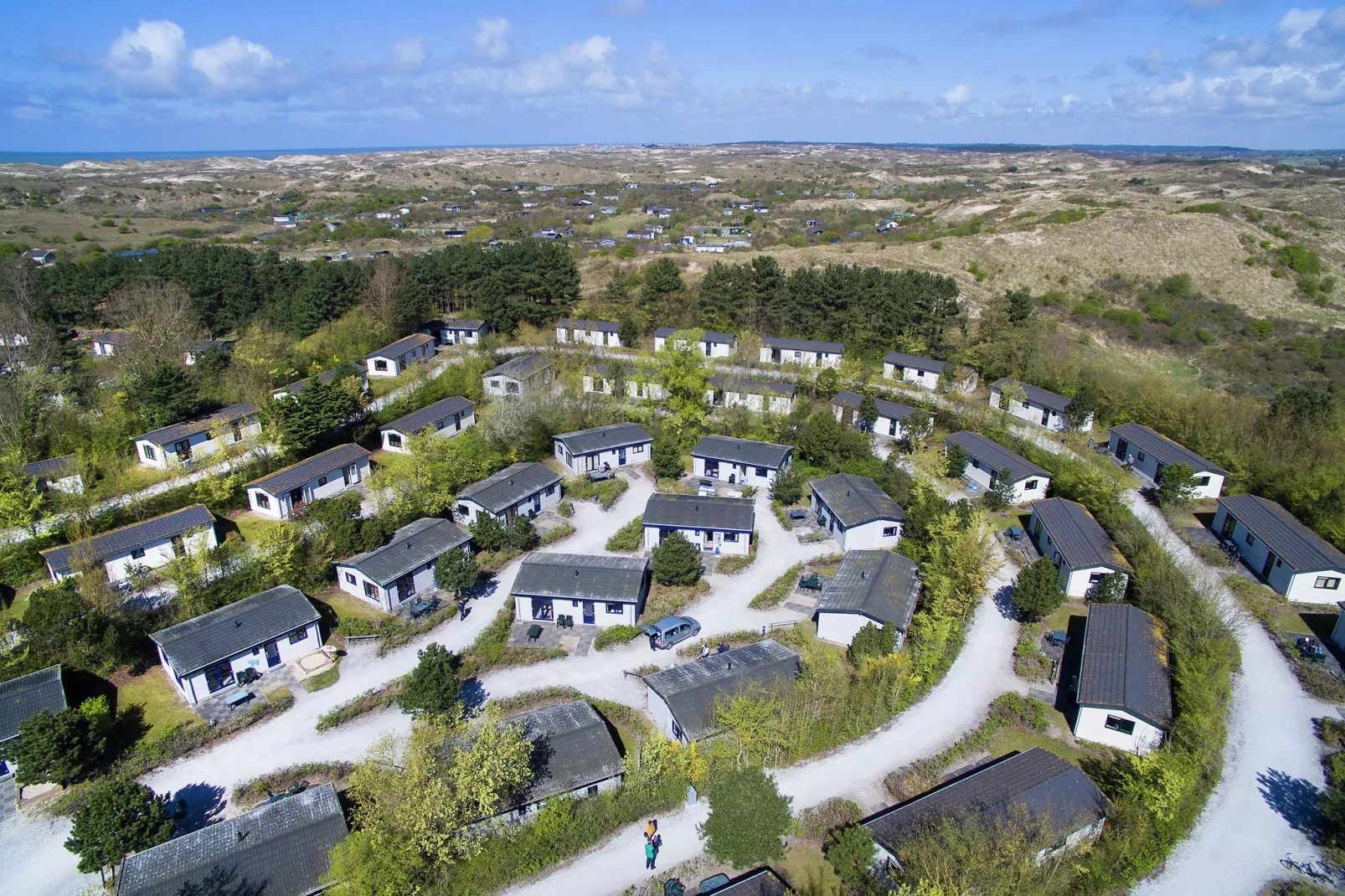 Kustpark Egmond aan Zee 4-Exterior summer