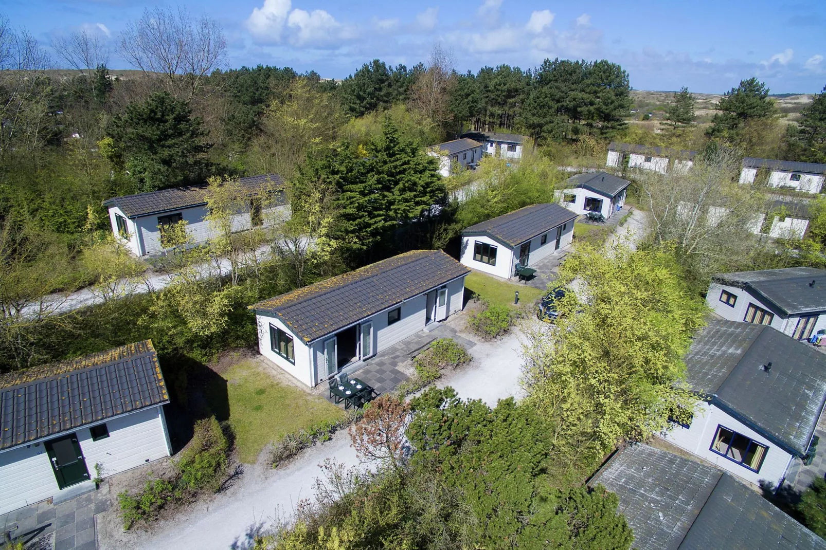 Kustpark Egmond aan Zee 4-Exterior summer