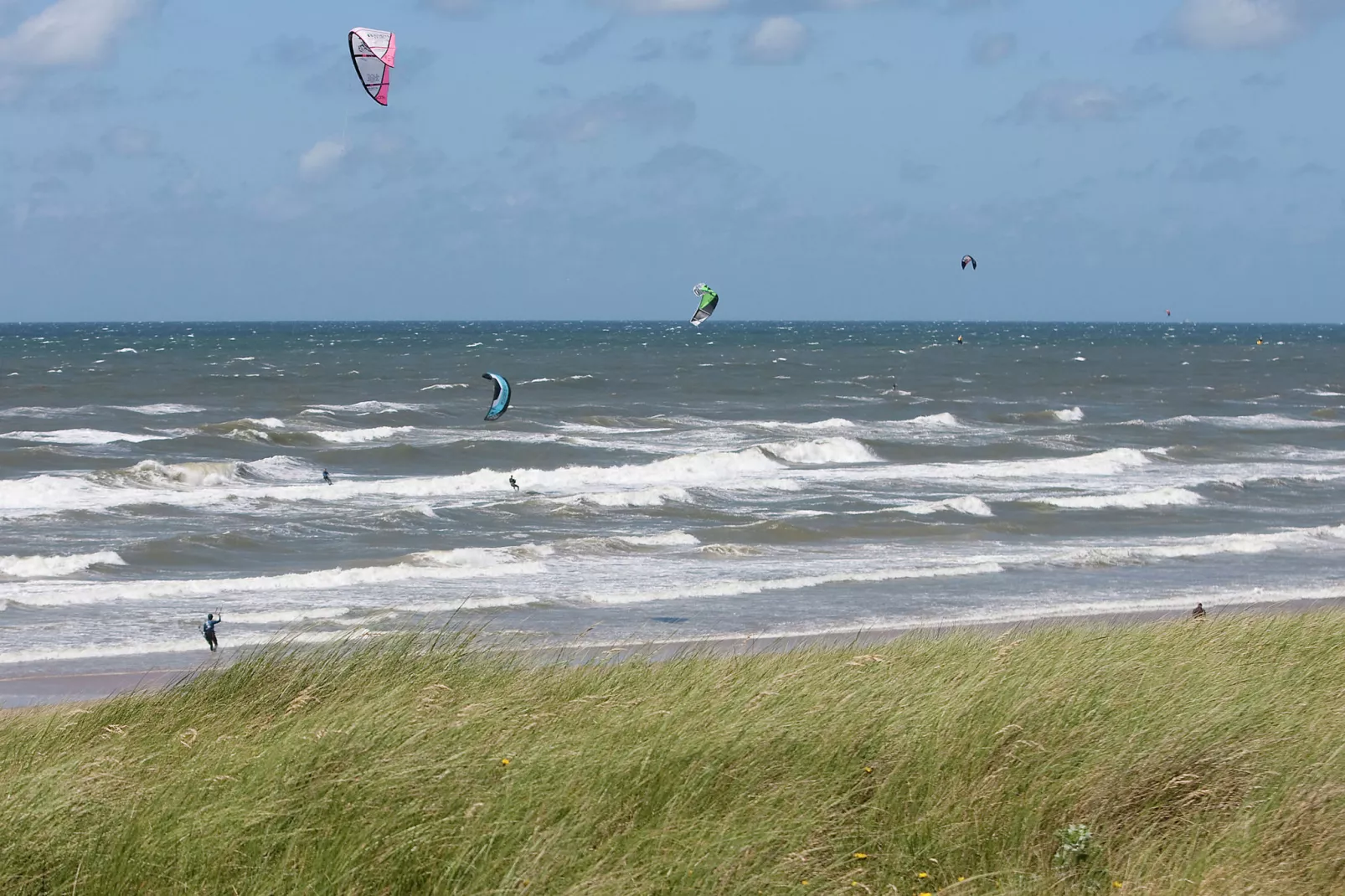 Kustpark Egmond aan Zee 4-Areas summer 1km