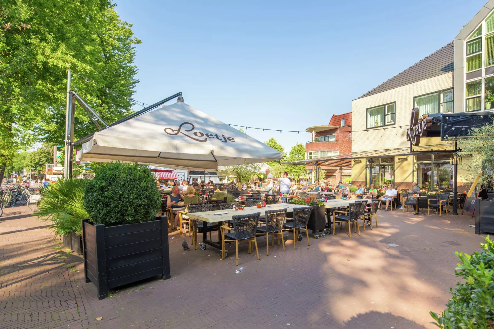 Kustpark Egmond aan Zee 4-Areas summer 5km