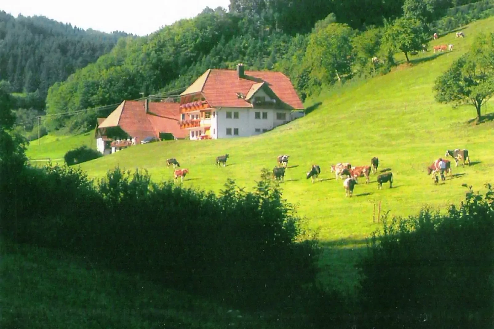 Am Stulzenhof-Exterior summer