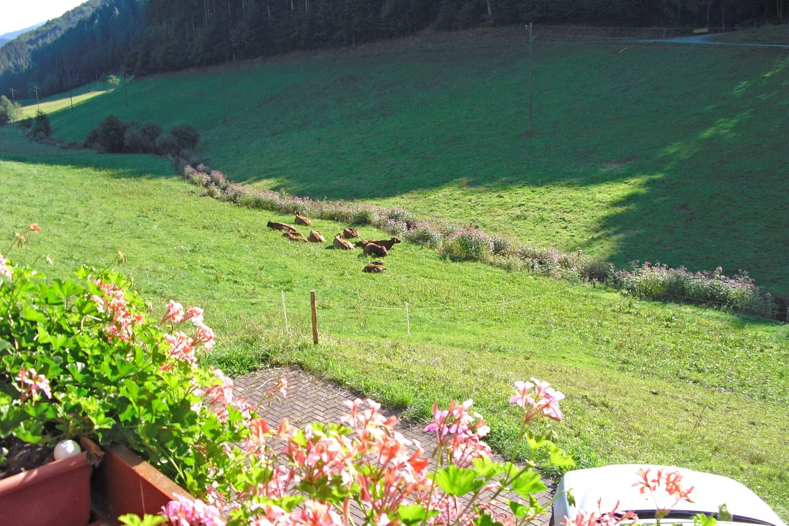 Am Stulzenhof-View summer