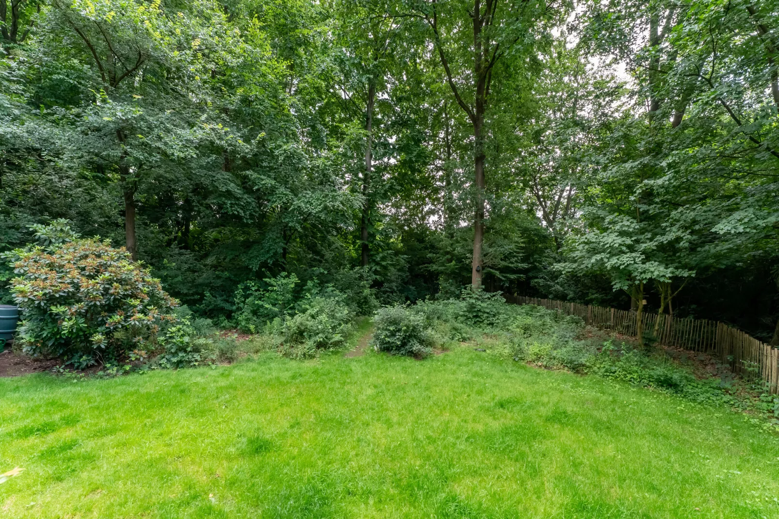 Sneeuwwitje-Gardens summer