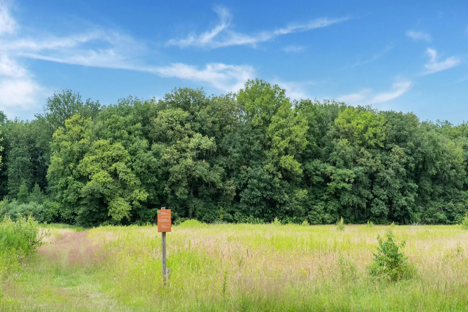 Sneeuwwitje-Areas summer 1km