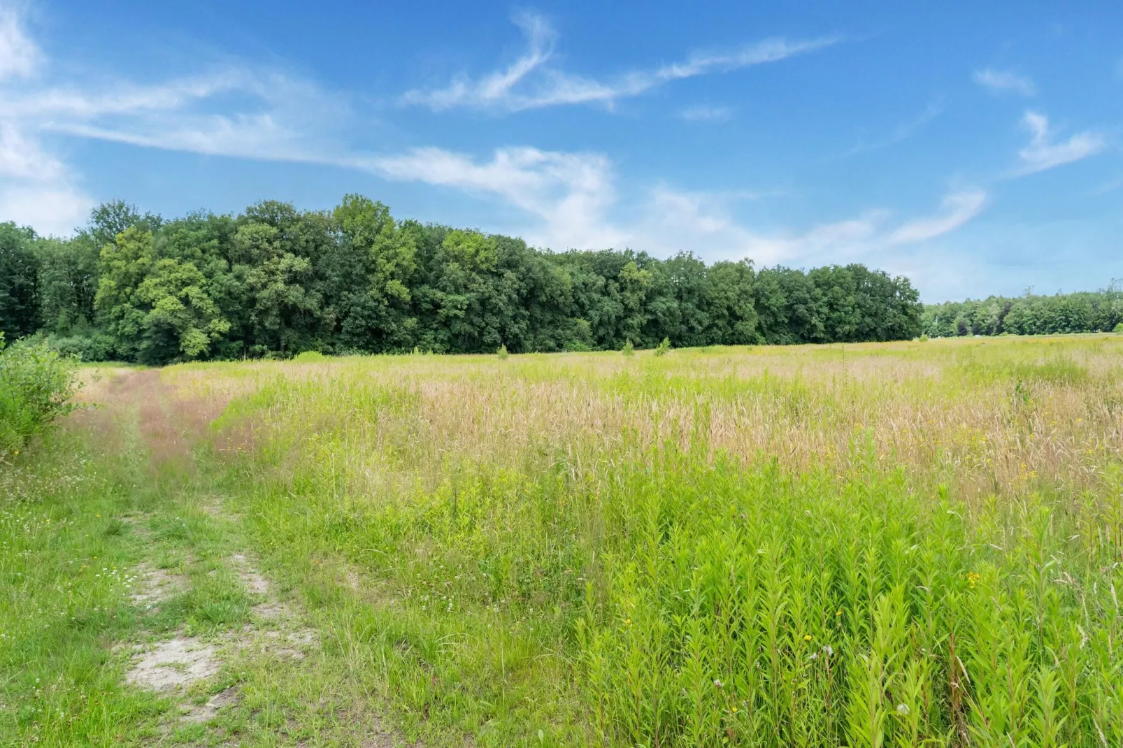 Sneeuwwitje-Areas summer 1km