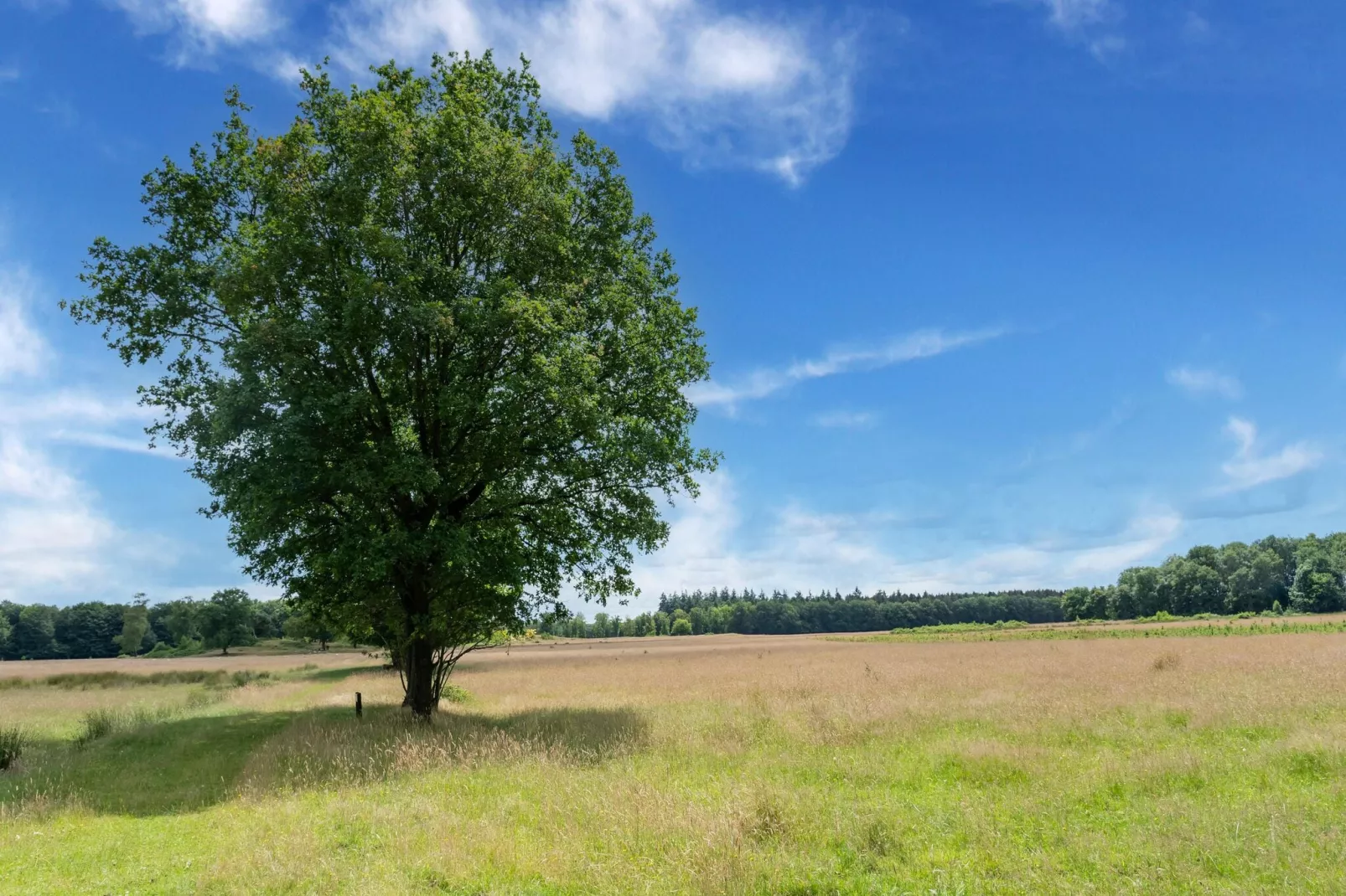 Sneeuwwitje-Areas summer 5km
