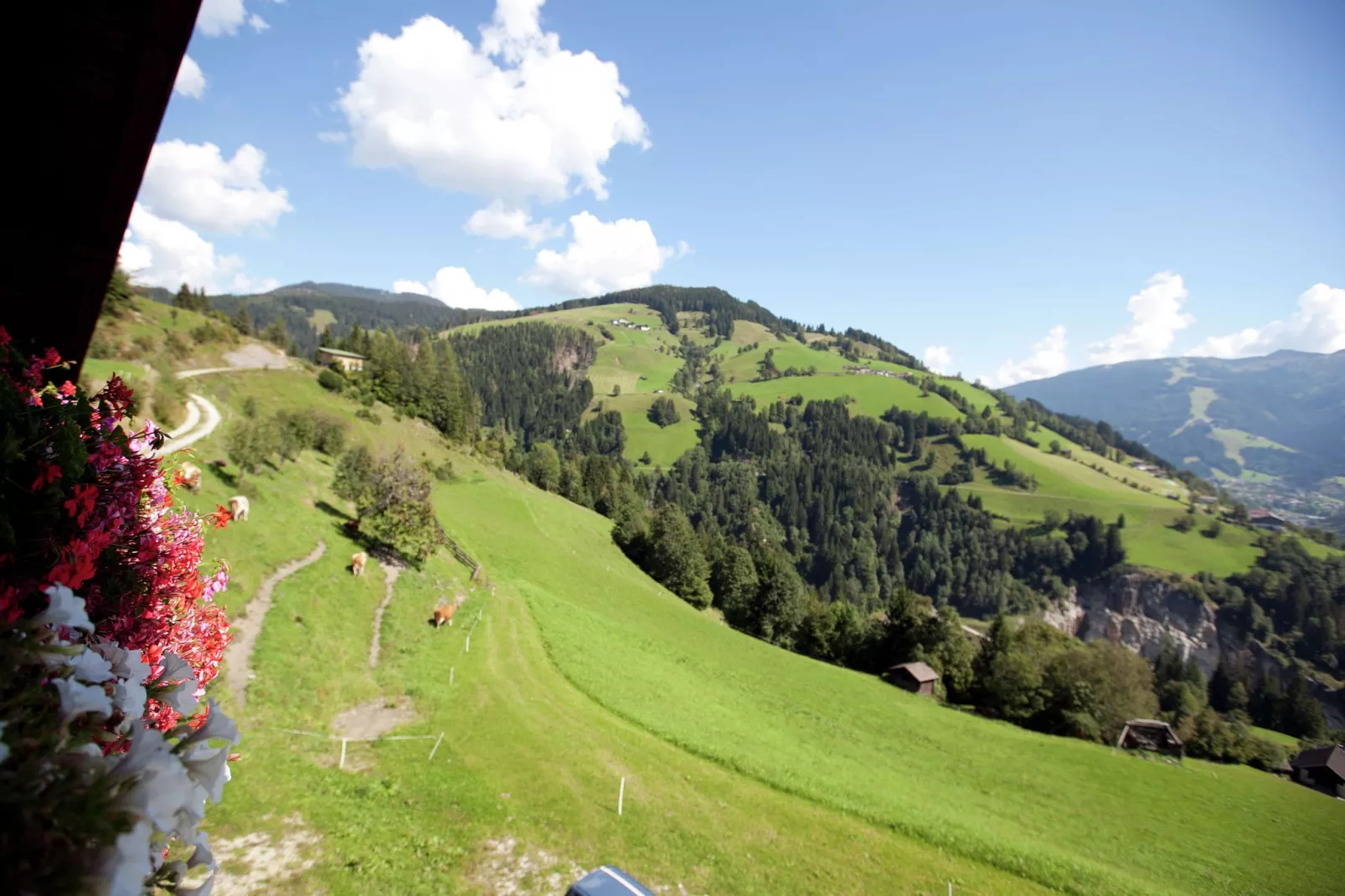 Durchholzhof-View summer
