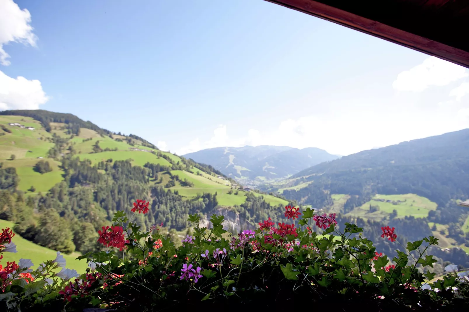 Durchholzhof-View summer