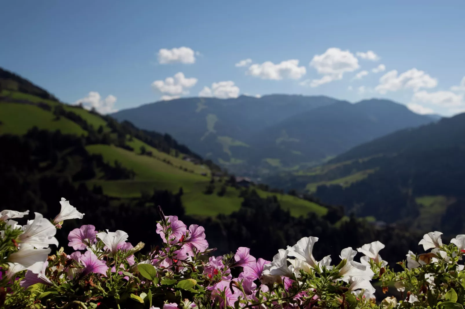 Durchholzhof-View summer