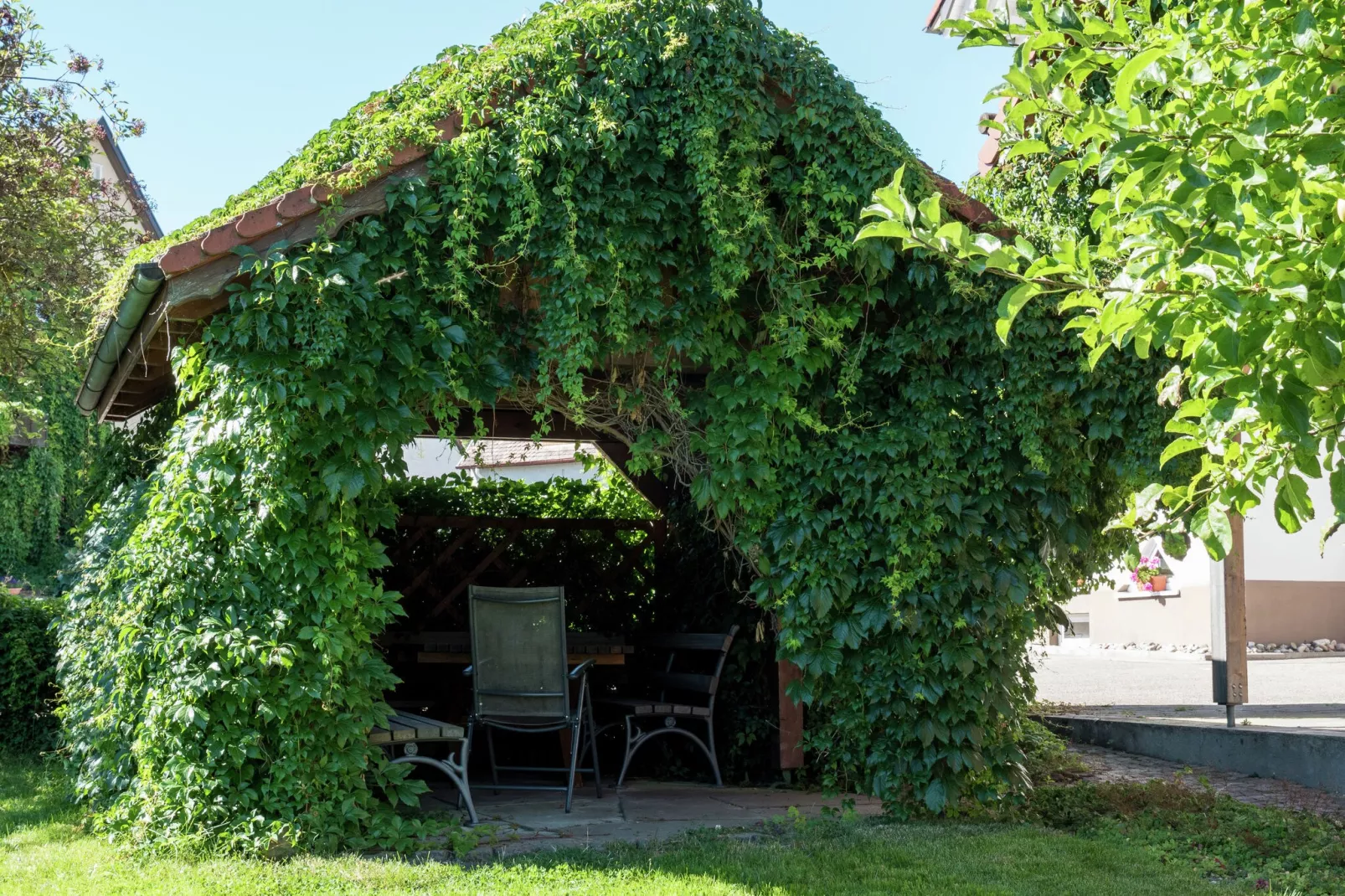 Im Ländle-Garten Sommer