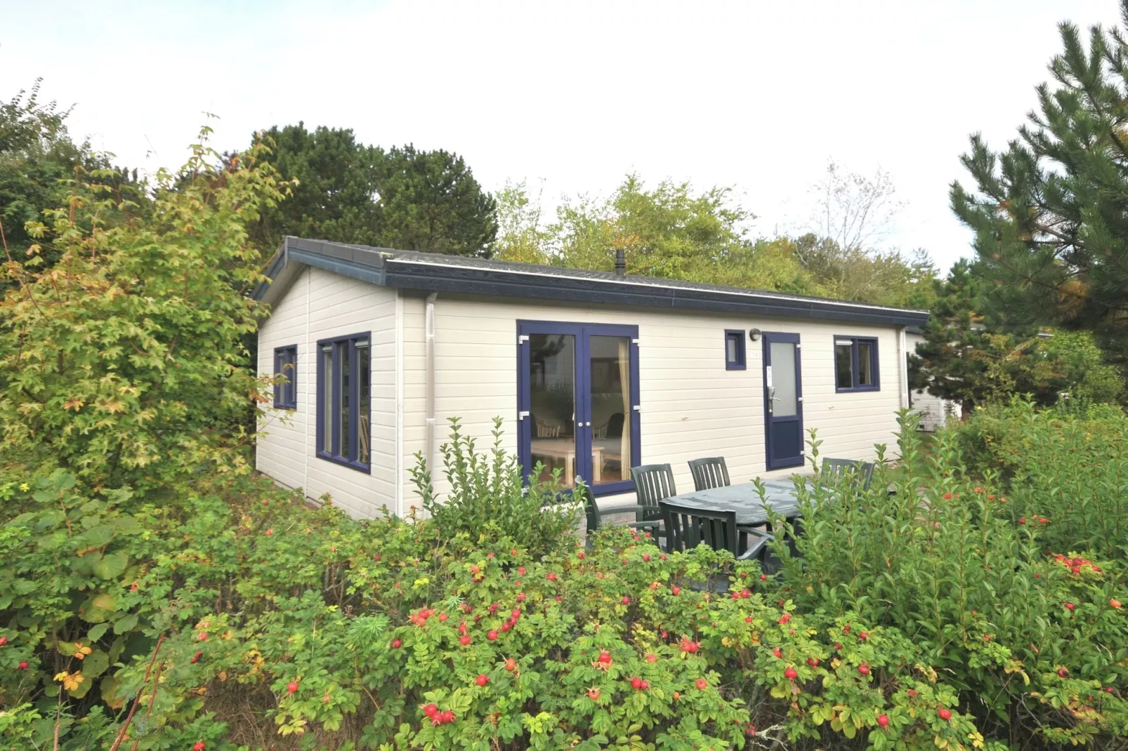 Kustpark Egmond aan Zee 1-Exterior summer