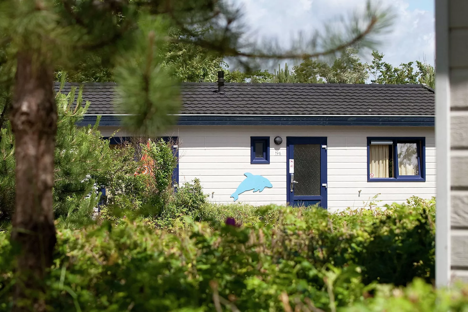 Kustpark Egmond aan Zee 1-Exterior summer