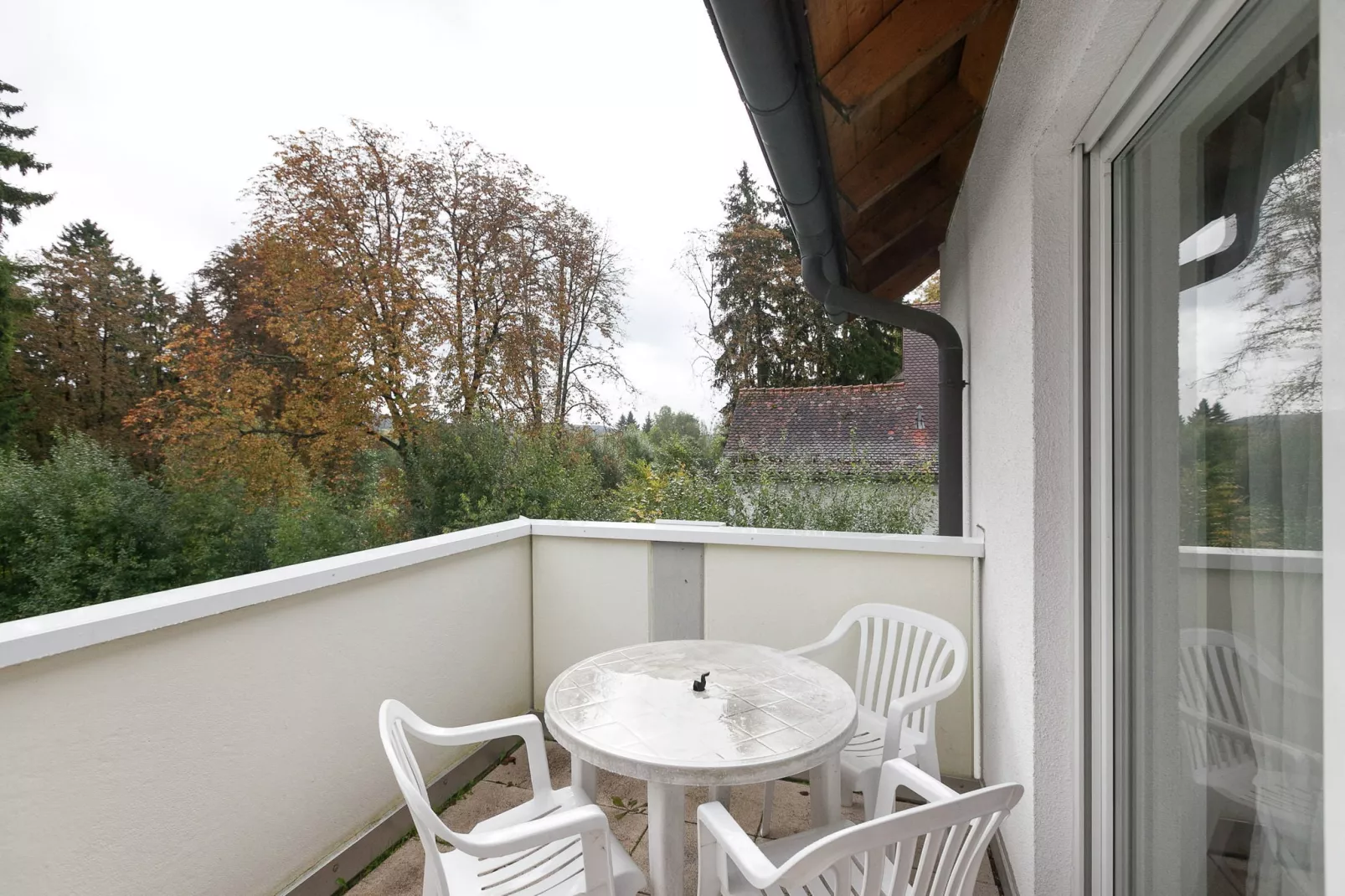 Park Blick-Terrace balcony