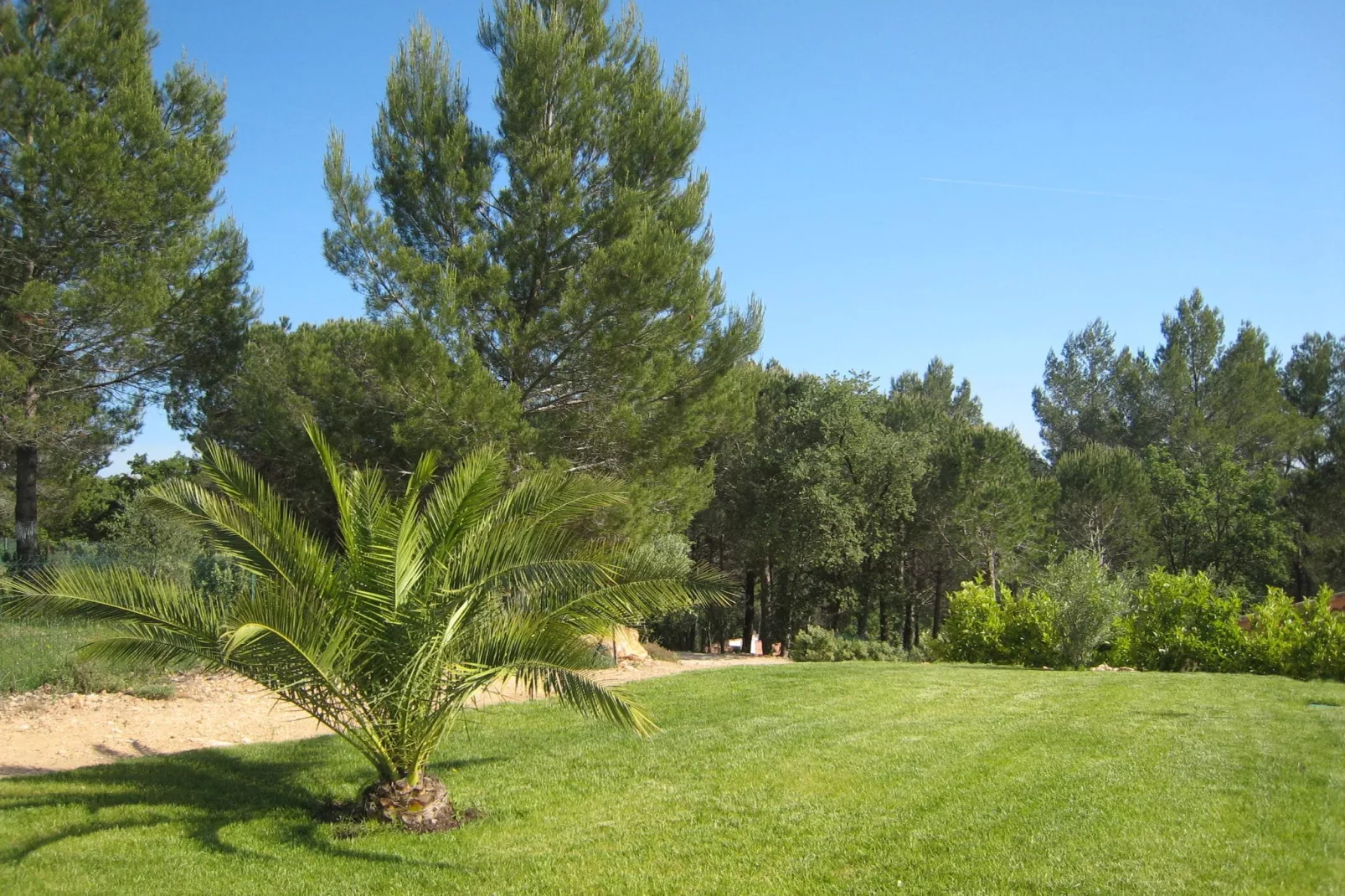 Mas du Pairois-Gardens summer