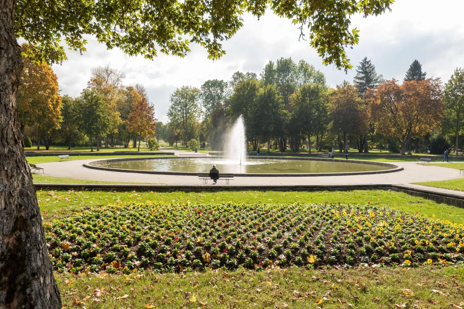 Park Blick-Areas summer 1km