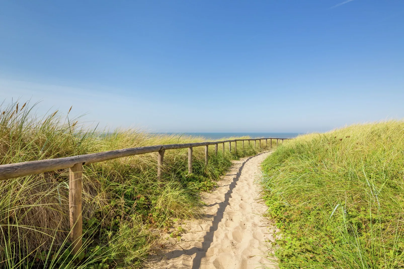 Kustpark Egmond aan Zee 1-Areas summer 1km