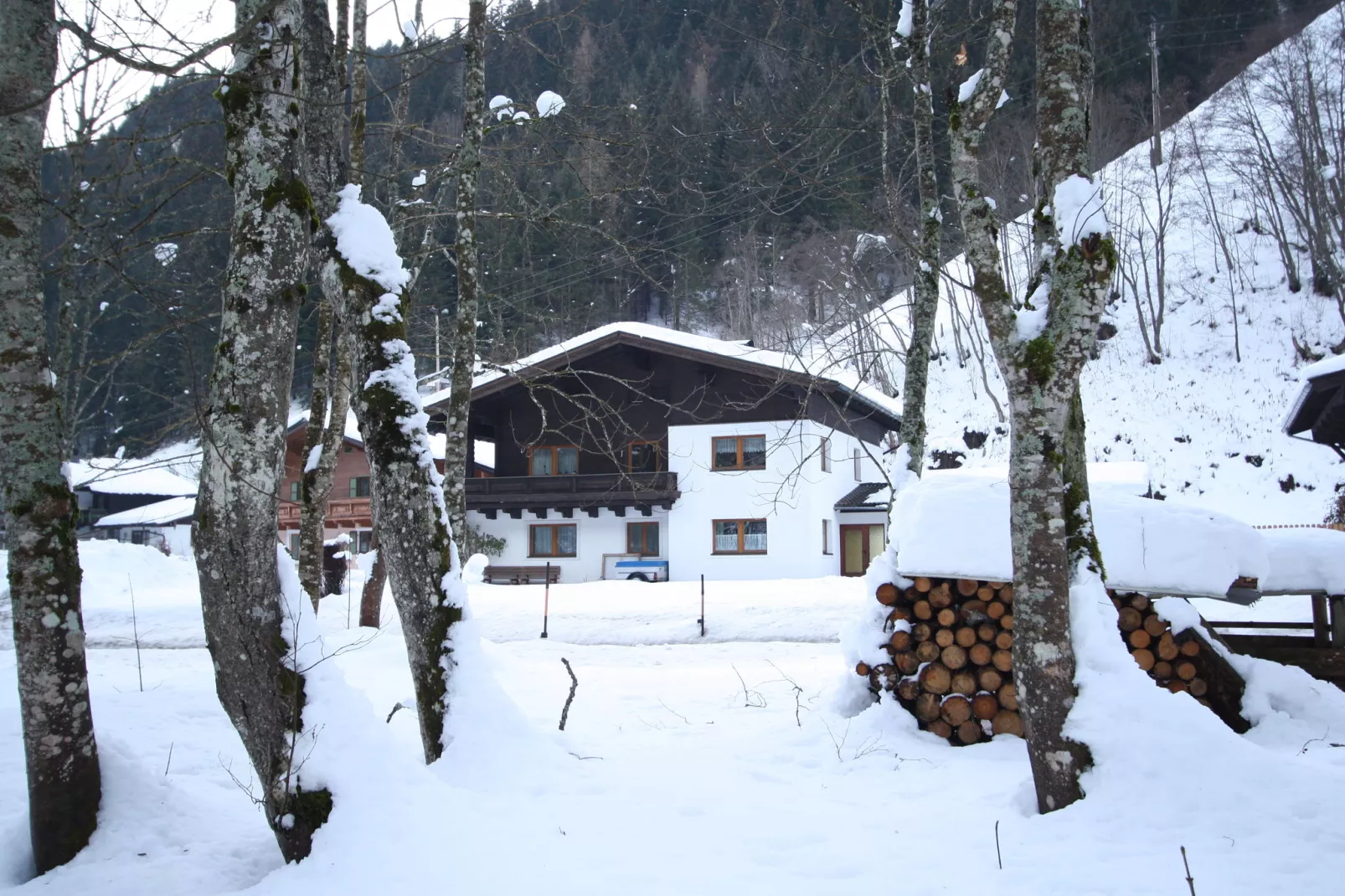 Anni-Extérieur hiver